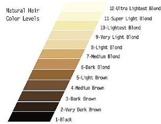 The levels of color you need to know for coloring your hair "unnatural" colors (the link leads you to a blog that explains color theory in layman's terms). Finally!! <3 LA Hair Color Scale, Levels Of Hair Color, Wella Color Charm Toner, Honey Brown Hair Color, Brown Hair Color Chart, Wella Toner, Hair Levels, Wella Color Charm, Honey Brown Hair