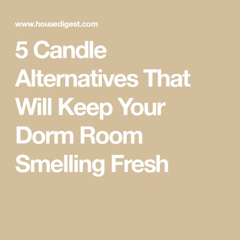 5 Candle Alternatives That Will Keep Your Dorm Room Smelling Fresh Candle Alternatives, Student Room, Burning Candles, Classic Candles, Room Scents, Room Smells, Dorm Room Essentials, Candle Warmer, Smell Fresh