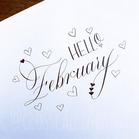 Laura Cross, Ink Raider on Instagram: “Hello, February! 🥰 #hellofebruary #californiacalligrapher #copperplatecalligrapy #copperplatepractice #calligraphy #calligraphycommunity…” February Calligraphy, Hello February, Copperplate Calligraphy, Calligraphy, On Instagram, Instagram