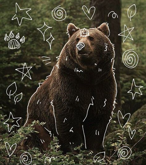 Werebear Aesthetic, Bear Pfp Cute, Bear Astethic, Bear Moodboard, Bear Therian, David Core, Bear Pfp, Therian Pfp, Bear Aesthetic