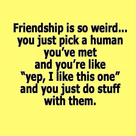 "Friendship is so weird...you just pick a human you've met and you're like, 'yep, I like this one,' and you do stuff with them." ;) Quotes Friendship Funny, Quotes Loyalty, Minion Humour, Friendship Funny, Short Friendship Quotes, Quotes Friendship, Best Friendship Quotes, Friendship Humor, Minion Quotes