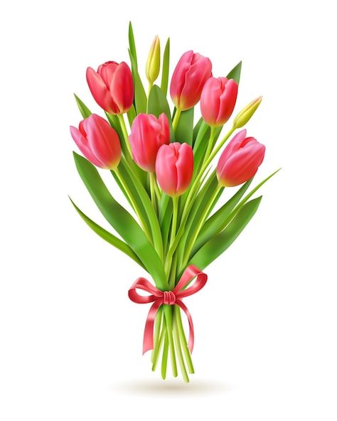 Holland Flowers, Bouquet Tulips, White Tulip Bouquet, Flower Bouquet Drawing, Tulips Bouquet, Vase With Branches, Flower Boquet, Summer Flowers Garden, Flower Silhouette