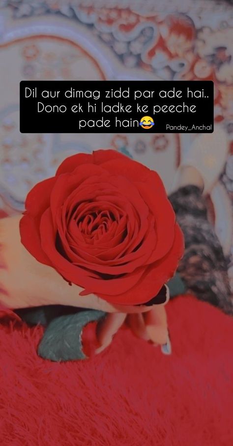 Propose Day Snap, Rose Day Snap, Rose Snap Story, Rose Shayari, Propose Day Quotes, Romantic Quotes For Girlfriend, Dare Games, Alphabet Photography, Rose Quotes