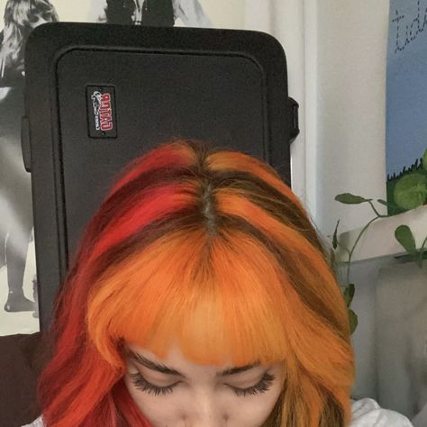 orange skunk hair black and white striped hair y2k hair inspo Orange And Black Hair Streaks, Color Curly Hair Ideas, Orange Skunk Stripe Hair, Y2k Striped Hair, Black And White Striped Hair, Black And Orange Hair, Orange And Black Hair, Hairdye Ideas, Toralei Stripe