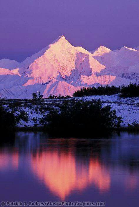 Denali National Park, Alaska Travel, Beautiful Places In The World, Nature Travel, Most Beautiful Places, Amazing Nature, Beautiful World, The Snow, Adventure Time