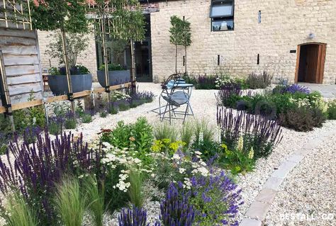 Wild gravel planting in modern french style garden by Bestall&Co - Garden&Landscape Design Gravel Planting, Backyard Garden Inspiration, French Style Garden, Gravel Garden Ideas, Modern French Style, Gravel Gardens, French Courtyard, Mediterranean Garden Design, Gravel Landscaping