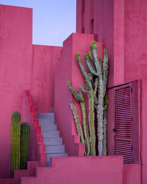 My 8 Images Prove That Ricardo Bofill’s La Muralla Roja Is A Masterpiece Of Architecture And Aesthetics Ricardo Bofill, Red Walls, Marbella, Color Inspiration, Interior And Exterior, Architecture Design, Hot Pink, Cactus, Stairs