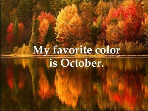 My favorite color is October... Winter Gif, Fall Lovers, Romans 12, Autumn Scenery, Bible Scripture, Autumn Beauty, Best Seasons, Favorite Season, Fall Foliage