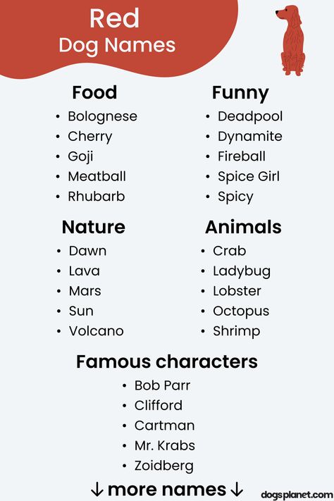 Food Dog Names, Red Dog Names, Dog Name Ideas, Boy Dog Names, Girl Dog Names, Food Dog, Beautiful Names, Unique Food, Farm Stuff