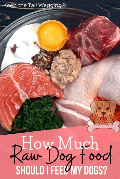 Dog Raw Diet, Raw Feeding For Dogs, Home Cooked Dog Food, Raw Dog Food Diet, Raw Pet Food, Make Dog Food, Dogs Tips, Healthy Dog Treats Homemade, Tail Wagging