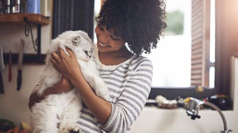 5 Things people get wrong about cat ladies Allergic To Cats, Cat Allergies, Cat Language, Cat Sitter, Cat Cuddle, Pet Hair Removal, Great Cat, Pet Sitting, Cat Behavior