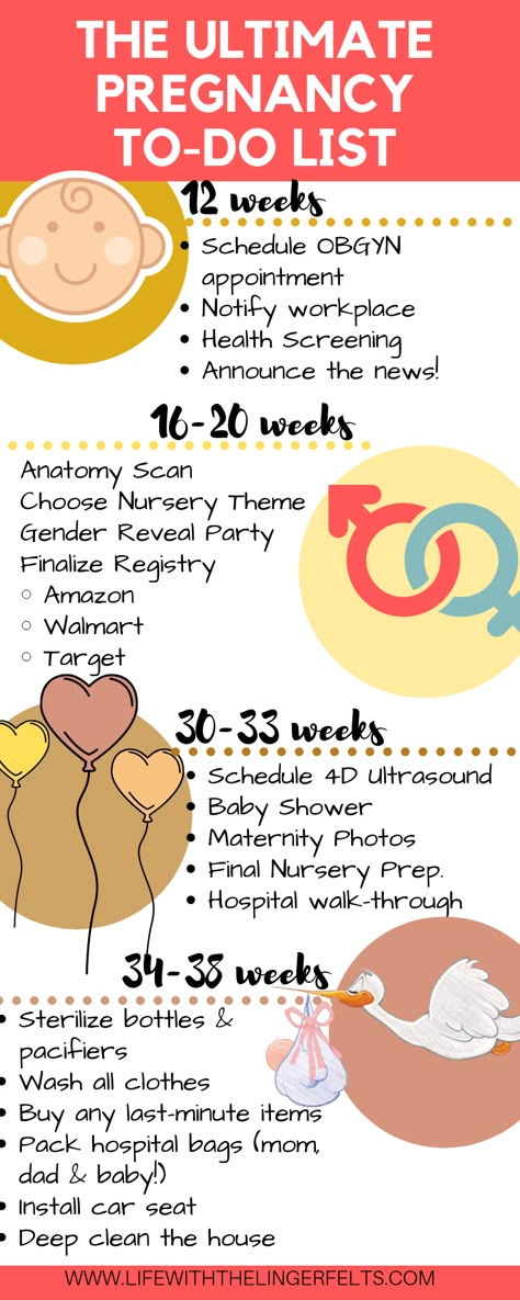 Sofia Grace, Baby Timeline, Pregnancy Snacks, Pregnancy Timeline, First Time Pregnancy, Pregnancy Checklist, Baby Checklist, Baby Life Hacks, Baby Planning