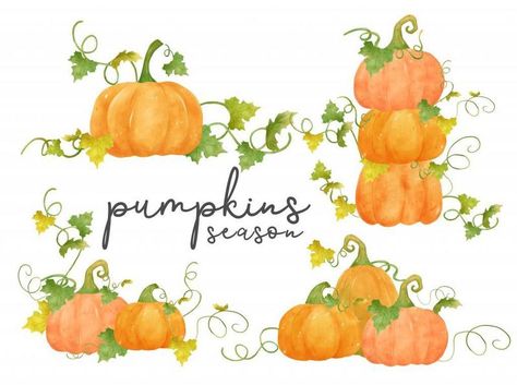 Pumpkin With Vines Drawing, Pumpkin Vine Drawing, Diy Fall Ideas, Vine Drawing, Vine Decoration, Watercolor Orange, Pumpkin Vine, Pumpkin Drawing, Orange Leaf