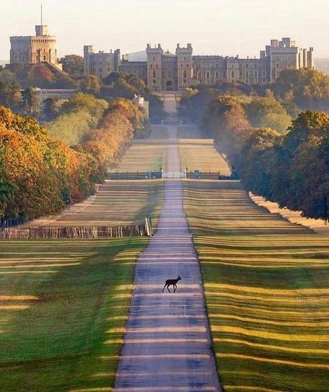 The Long Walk, Castle England, British Castles, England Aesthetic, Castle Aesthetic, Royal Aesthetic, Long Walk, Dream Places, Windsor Castle