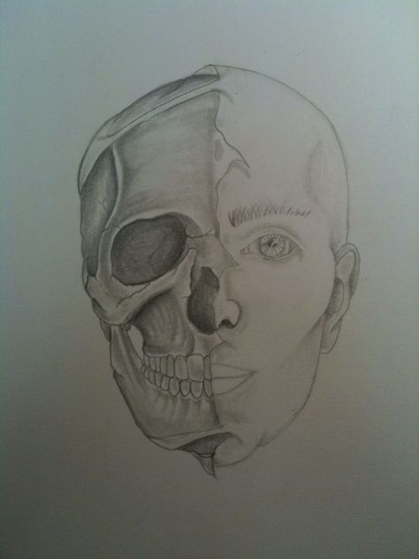 Half Skull Drawing, Half Human Half Skull Drawing, Half Face Sketch, Half Human Face Half Skull, Half Skeleton Face, Skull Photography, Half Skull Face, Human Face Drawing, Character Designing