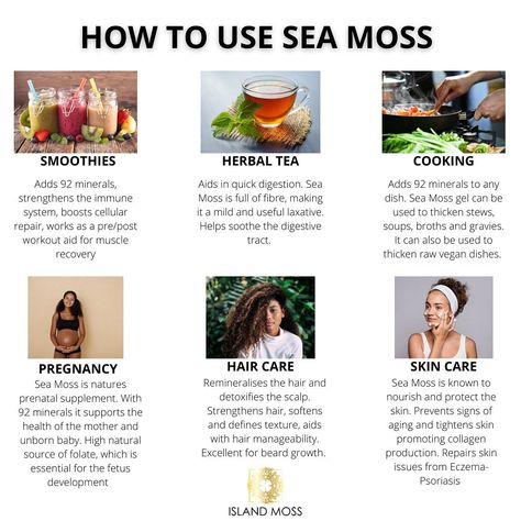 Wildcrafted Sea Moss Gel on Instagram: “Sea Moss can be consumed in several different ways you should add 1-2 tablespoons daily to your foods or drinks. - Sea Moss is also very…” How To Use Sea Moss, Sea Moss Tea Recipe, Purple Sea Moss Recipes, Seamoss Gel Recipes, Sea Moss Benefits For Women, Sea Moss Gel Recipes, Sea Moss Benefits, Sea Moss Recipes, How To Make Sea Moss Gel