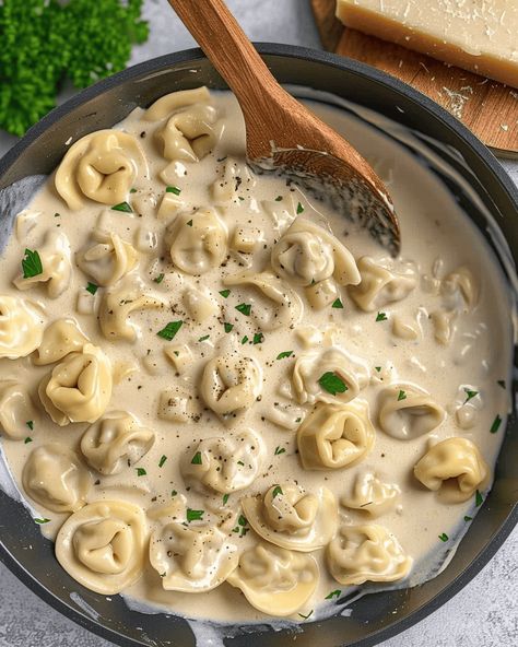 Steak Tortellini Alfredo, Tortellini Alfredo Recipes, Tortolini Recipes, Tortellini Pasta Recipes, Tortolini Recipe, Tortellini Alfredo, Creamy Tortellini, Camping Meal, Creamy Pasta Dishes