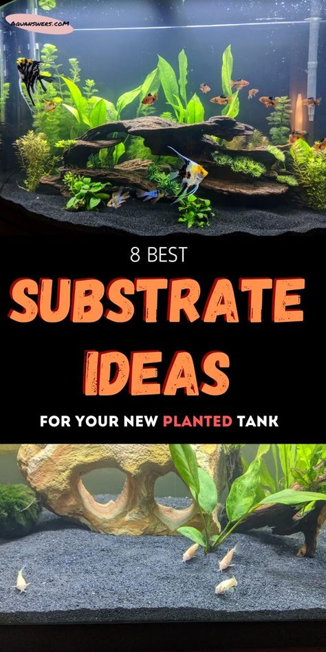 Aquascaping Ideas Inspiration, Fish Tank Substrate Ideas, Natural Freshwater Aquarium Ideas, Freshwater Aquascape Ideas, Live Plant Aquarium Ideas, 10 Gallon Fish Tank Ideas Natural, Cheap Fish Tank Ideas, Tropical Aquarium Ideas, Water Grass Fish Tank