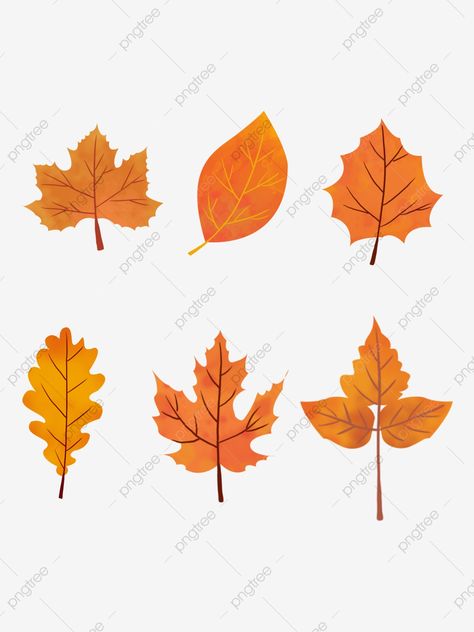 Png Clipart, Fashion Flats, Maple Leaf Tattoo, Art Sketches, Autumn Leaves, How To Draw Hands, Sketch, Drawings, Quick Saves