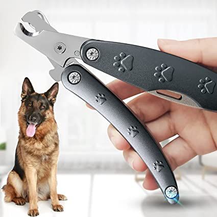 Cat Nail Clippers, To My Dog, Dog Nail Clippers, Sharp Nails, Nail Trimmer, Pet Grooming Tools, How To Cut Nails, Dog Nails, Cat Nails