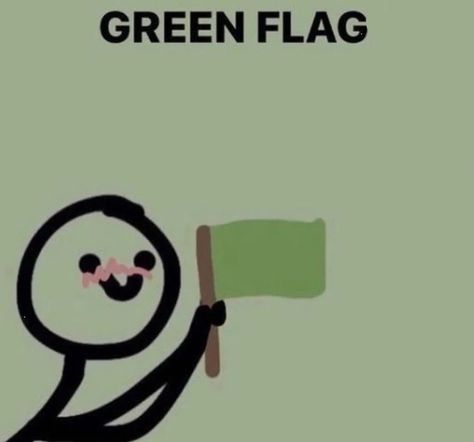 Red Flag Aesthetic, Crush Stories, Green Flags, Facebook Meme, Character Girl, Flag Template, Green Flag, Facebook Templates, Luck Quotes