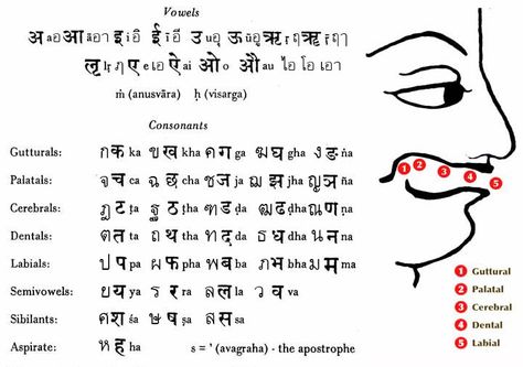 Sanskrit Alphabet, Sanskrit Grammar, Thai Alphabet, Sanskrit Language, Hindi Language Learning, Sanskrit Mantra, Sanskrit Quotes, Tamil Language, Picture Letters