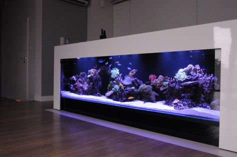 Tanks based on Aquaforest Products: | Page 91 | REEF2REEF Saltwater and Reef Aquarium Forum Aquarium Interior Design, Square Aquarium, Aquarium Interior, Tattoos Architecture, Fish Tank Wall, Marine Fish Tanks, Animals Tattoos, Wall Aquarium, Amazing Aquariums