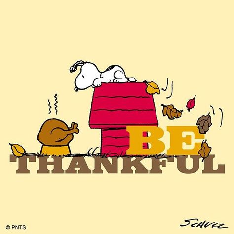 Snoopy Thanksgiving, Peanuts Thanksgiving, Dog Posters, Cartoon Inspiration, Snoopy Stuff, Charlie Brown Thanksgiving, Good Morning Happy Monday, Snoopy Halloween, Thanksgiving Wallpaper