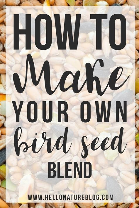 Homemade Bird Food, Homemade Bird Seed, Bath Diy, Backyard Birds Feeders, Pine Cone Bird Feeder, Wheat Flower, Bird Seed Ornaments, Tattoo Bird, Flying Tattoo