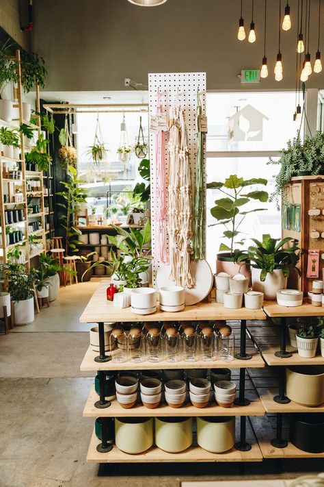 Plant Store Interior Design, Plant Bar Ideas, Small Plant Shop Interior, Plant Shop Display Ideas, Flower And Plant Shop, Boutique Plant Shop, Plant Shop Cafe, Indoor Plant Store Ideas, Plant Store Interior