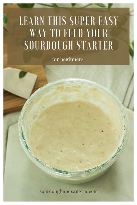 Learn to what to feed your sourdough starter, how to feed it, when to feed it, how to store it, and more! Follow this really easy sourdough starter feed schedule with tips for beginners How To Feed My Sourdough Starter, Sourdough How To Feed, How To Rehydrate Dried Sourdough Starter, How To Feed Sourdough Starter, Feed Starter, Easy Sourdough Starter, Homemade Rye Bread, Yeast Starter, Sourdough Bread Starter