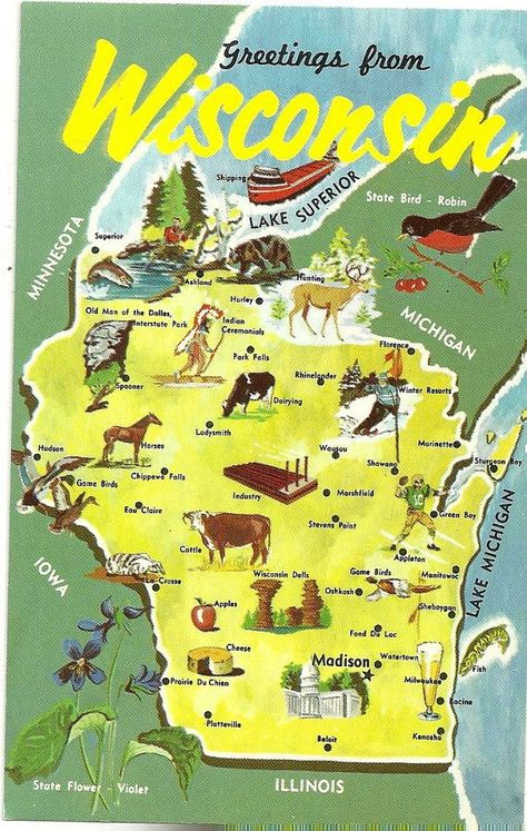 1000+ images about Maps on Pinterest | Illustrated maps, Map ... Illustrated Postcards, Wisconsin Pride, Wisconsin State, Wisconsin Travel, Wisconsin Dells, Vintage Illustrations, Illustrated Map, State Map, North Dakota