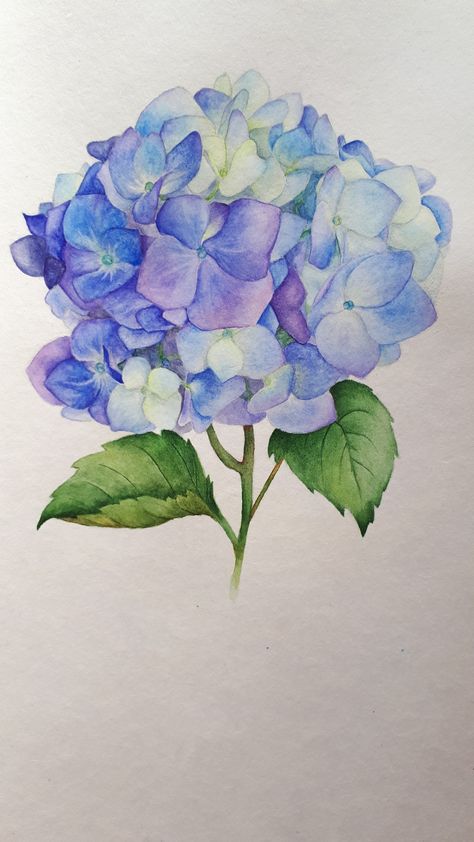 Hydrangea Watercolor, Hydrangeas Art, On Tattoo, Watercolor Hydrangea, Hydrangea Painting, Watercolor Flowers Tutorial, Diy Watercolor Painting, Flower Watercolor, Watercolor Flower Art