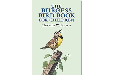 Burgess Bird Book {Free eBook & Activities} – DIY Homeschooler Living Books List, Common Birds, Dover Publications, Bird Book, Living Books, Animal Stories, Science Books, Black And White Illustration, Stories For Kids