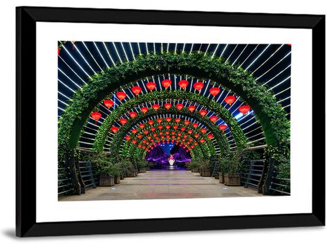 Wisteria tunnel