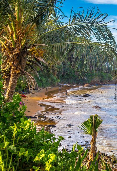 Cayenne French Guiana, Guyana Beach, Guyana Aesthetic, Georgetown Guyana, Beautiful Paintings Of Nature, Caribbean Culture, Image Nature, Coastal Life, South America Travel