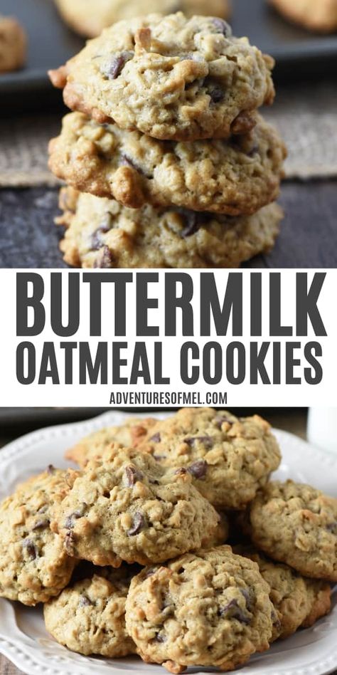 Mix up a batch of buttermilk oatmeal cookies with chocolate chips. Quick and easy cookie recipe that makes perfectly soft and chewy cookies. Simple ingredients and easy dessert you can make in a jiffy. Oatmeal Cookies With Chocolate Chips, Buttermilk Cookies, Cookies With Chocolate Chips, Oatmeal Chocolate Chip Cookie Recipe, Easy Cookie Recipe, Oatmeal Raisin Cookies Chewy, Cookies With Chocolate, Chewy Cookies, Buttermilk Recipes