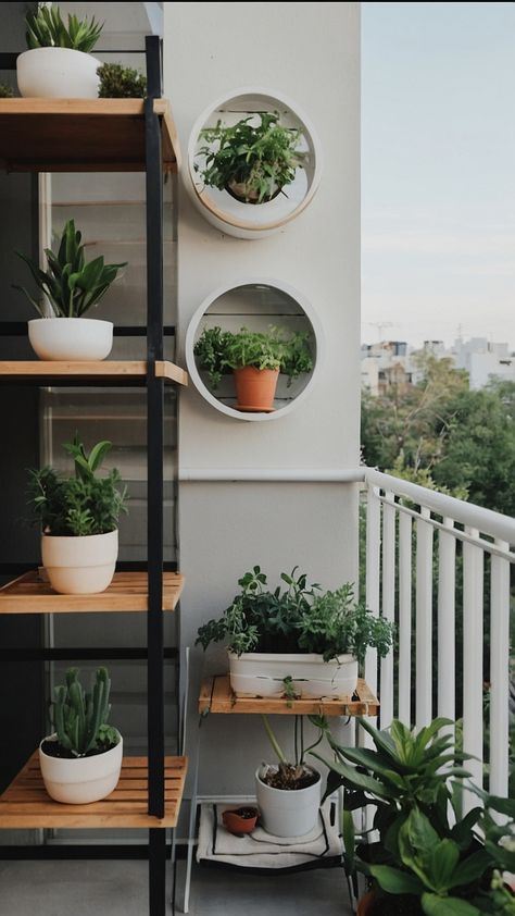 Transform your apartment balcony into a stylish oasis with these small balcony garden decor ideas From DIY design projects to apartment space-saving solutions elevate your outdoor space with potted plants and chic decor accents Discover apartment decor ideas and design inspiration that will enhance your outdoor living experience Aesthetic Balcony Garden, Tiny Balcony Decor, Balcony Garden Decor Ideas, Balcony Garden Diy, Space Saving Apartment, Balcony Decor Ideas, Balcony Garden Ideas, Balcony Ideas Apartment Christmas, Creative Garden Decor