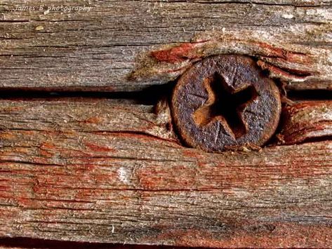 Macro shot of a rusty screw head in a piece of wood. One of the great things about macro photography is that you can find shots in the most unlikely places.