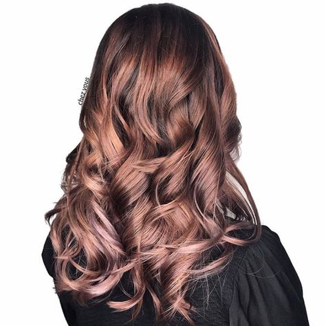 Brown Hair Pics, Rose Brown Hair, Brilliant Brunette, Rose Blonde, Chestnut Brown Hair, Rose Gold Ombre, Gold Hair Colors, Hair Color Rose Gold, Perfect Hair Color