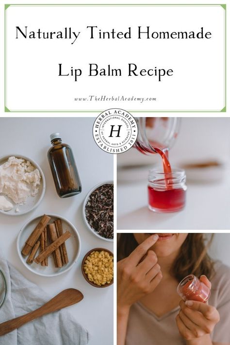 Diy Lip Plumper, Homemade Lip Balm Recipe, Lip Balm Recipe, Natural Lip Plumper, Diy Lip Balm Recipes, Lip Plumping Balm, Lollipop Recipe, Herbal Academy, Lip Salve