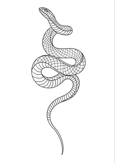 Snake Stencil Design, Snake Tattoo Outline Stencil, Snake Outline Tattoo Design, Simple Snake Tattoo Stencil, Snake Tattoos Drawing, Snake Outline Tattoo, Snake Tattoo Template, Snake Line Tattoo, Snake Drawing Tattoo