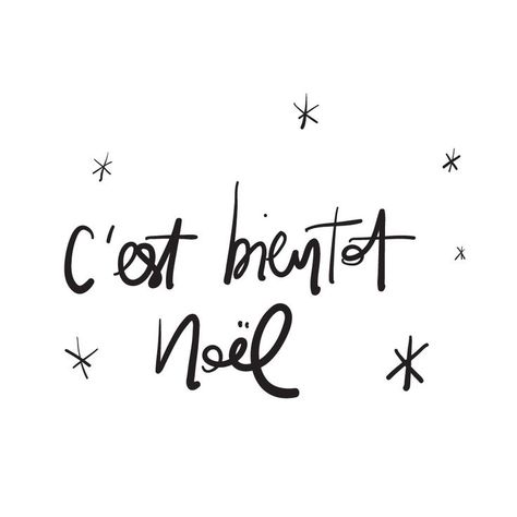 "C'est bientôt Noël" -  "It's almost Christmas" -- so true. And true for Lora Weaver in The Nearly Nixed Noël book:) French Country Christmas, Merry Christmas Quotes, French Christmas, Easy Christmas Decorations, Noel Christmas, Merry Little Christmas, Country Christmas, Christmas Quotes, Merry Xmas