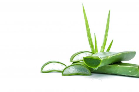 Slice aloe vera fresh leaf isolated on white background Premium Photo Aloe Vera Background, Soap Background, Background Leaf, Soap Photography, Alcohol En Gel, Homemade Wrinkle Cream, Aloe Vera Oil, Tighten Skin, Hina Khan