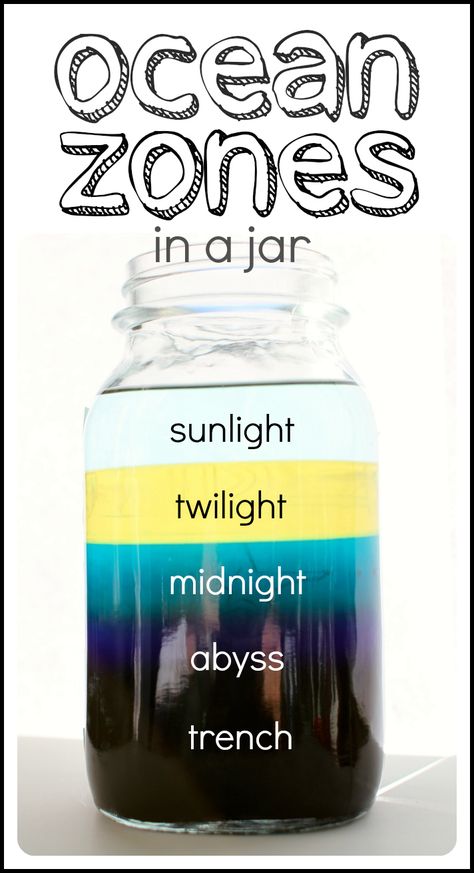 Create a model of Ocean Zones (layers of the ocean) using a jar and several household ingredients! Vetenskapliga Experiment, Layers Of The Ocean, Ocean Zones, Science Experience, Cool Science Fair Projects, Ocean Unit, Ocean Science, Science Projects For Kids, Science Project