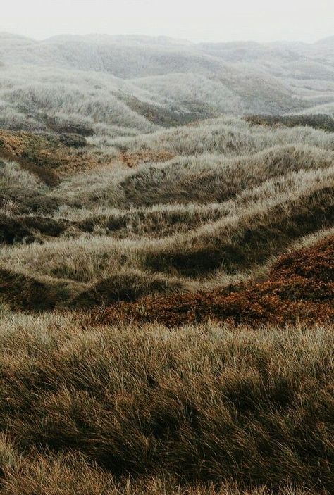 The Hills, The Grass, Look At, Tumblr, Art, Nature