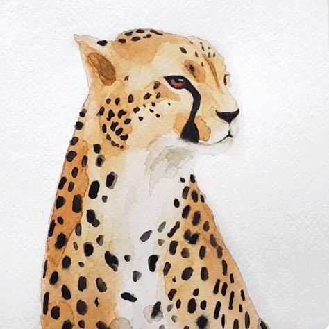 Cheetah Watercolor, Cheetah Drawing, Painting Time Lapse, Leopard Painting, Leopard Watercolor, Watercolor Paintings Of Animals, Animal Watercolor, Painting Walls, Watercolor Paintings For Beginners