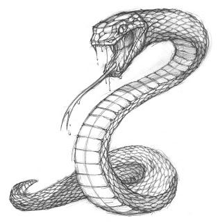 Snake sketch turn this into a tattoo by having the tail wrap around my arm Snake Sketch, Snake Drawing, Kunst Tattoos, Snake Art, 3d Tattoos, Tattoo Sketch, 3d Drawings, Snake Tattoo, Arte Inspo