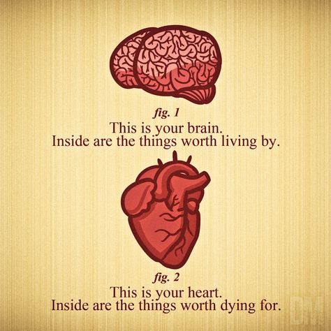 “Brain & Heart” by Diego Mendez. The brain IMAGINES a different world and invents it but to CREATE a better world then we alos have to Listen to the Heart. The Midnight Library Tattoo, Heart And Brain Quotes, Heart Vs Brain, Brains Quote, The Awkward Yeti, Heart And Brain, The Human Heart, طابع بري�دي, The Human Brain