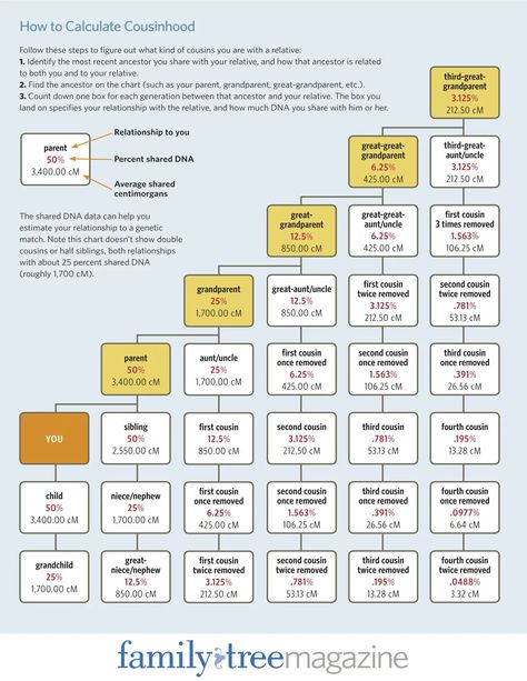 Cousin Relationships, Dna Test Results, Relationship Chart, Second Cousin, Dna Genealogy, Family Tree Genealogy, Ancestry Dna, Old Farmers Almanac, Test Results